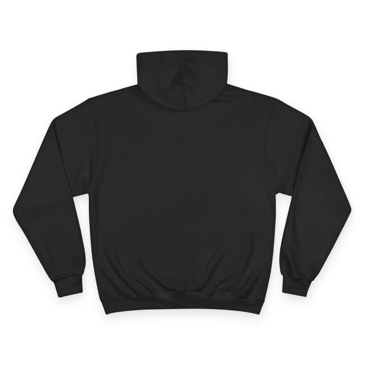 Back view of the For The Craic FTC Stripe Hoodie - Black