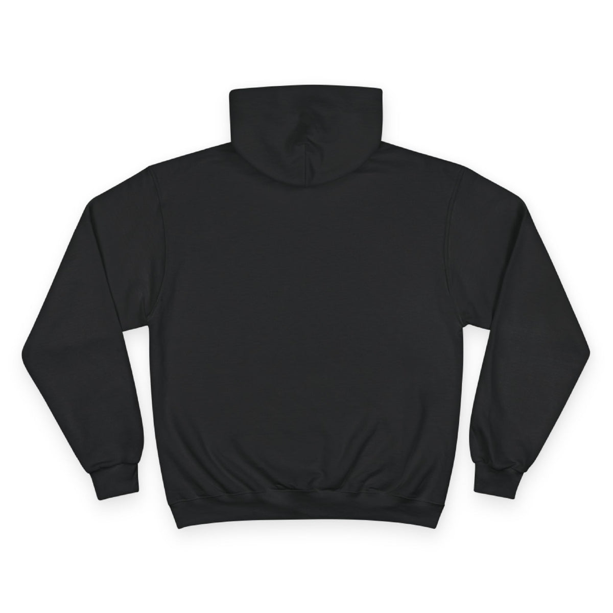 Back view of the For The Craic FTC Stripe (Text) Hoodie - Black