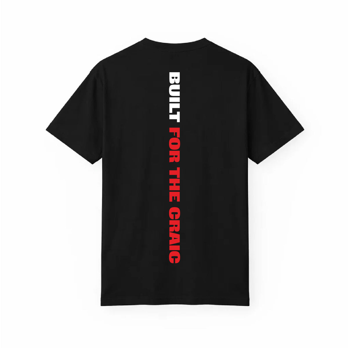 Back view of the For The Craic Built For The Craic Tee - Black